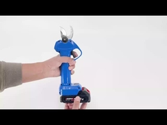 Auston AES20-3 Pruner (Pronozador de las herramientas)