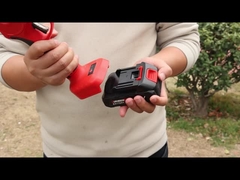 Auston AES20-4 Pruner (Pruniendo con el equipo de Auston)