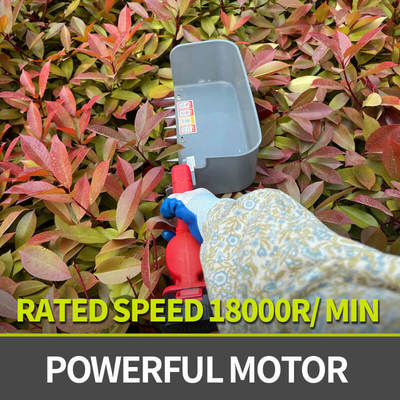 Tea Harvesting Machine Lightweight Design Comfortable For Long Use