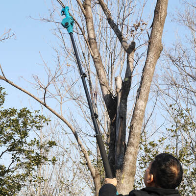21V Cordless Pruner with Brushless Motor and 25MM Diameter of Cut for Efficient Garden Pruning Shears